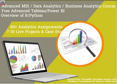 MIS Course in Delhi, Okhla,  Data Analyst Institute at SLA Consultants